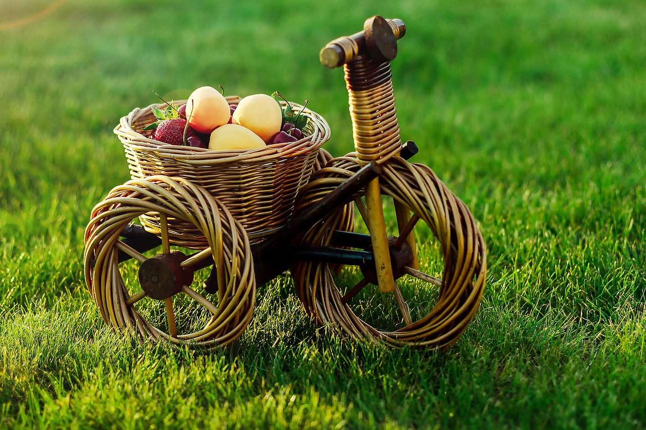 fruit  bike  grass free photo