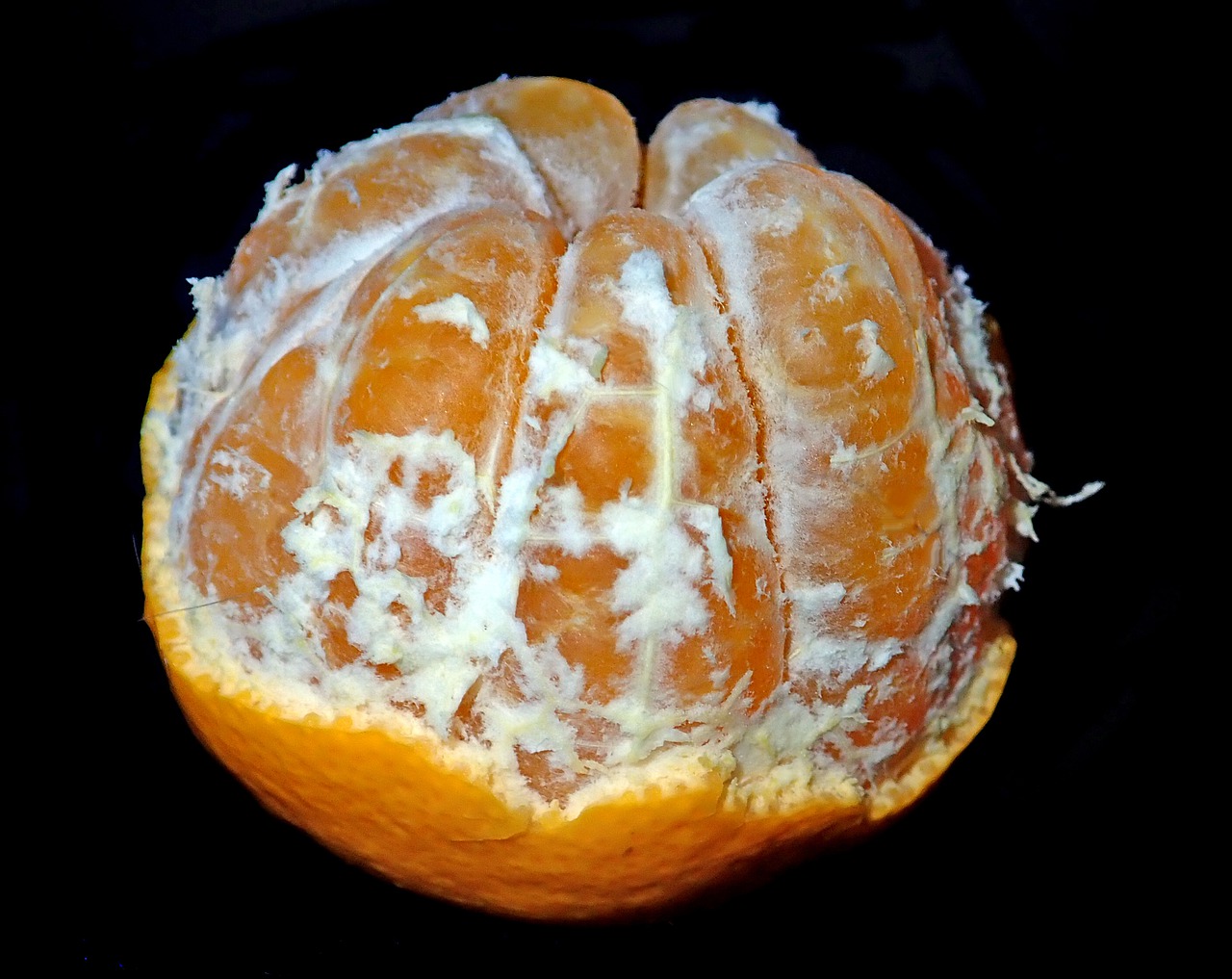fruit  citrus  mandarin free photo
