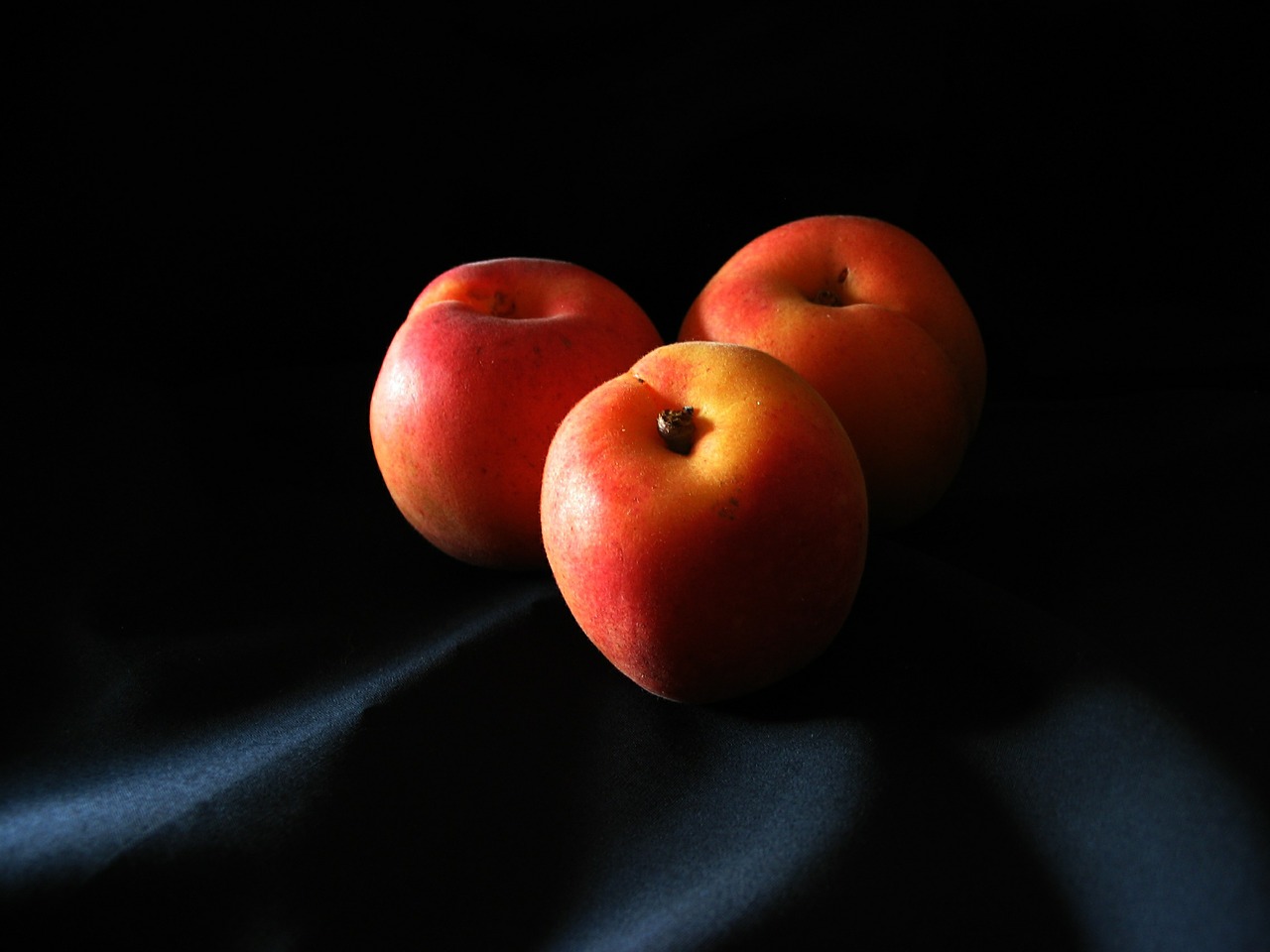 fruit apricot fruit of the sun free photo