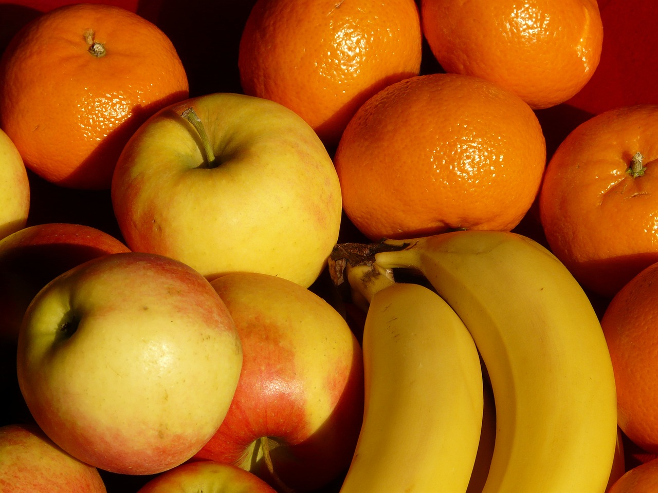 fruit fruits apple free photo