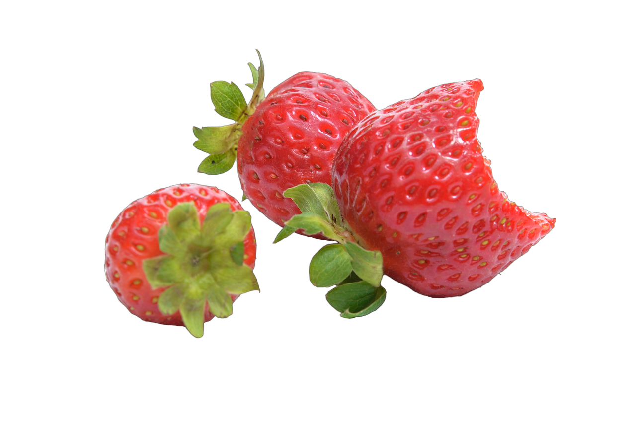 fruit strawberry red free photo