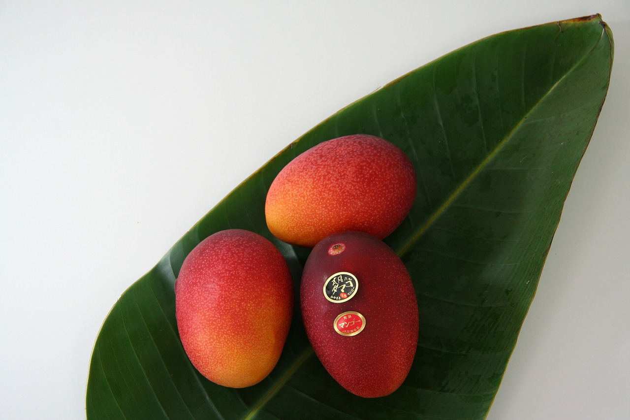 fruit mango egg of the sun free photo