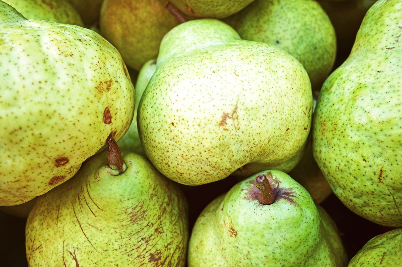fruit pears green free photo