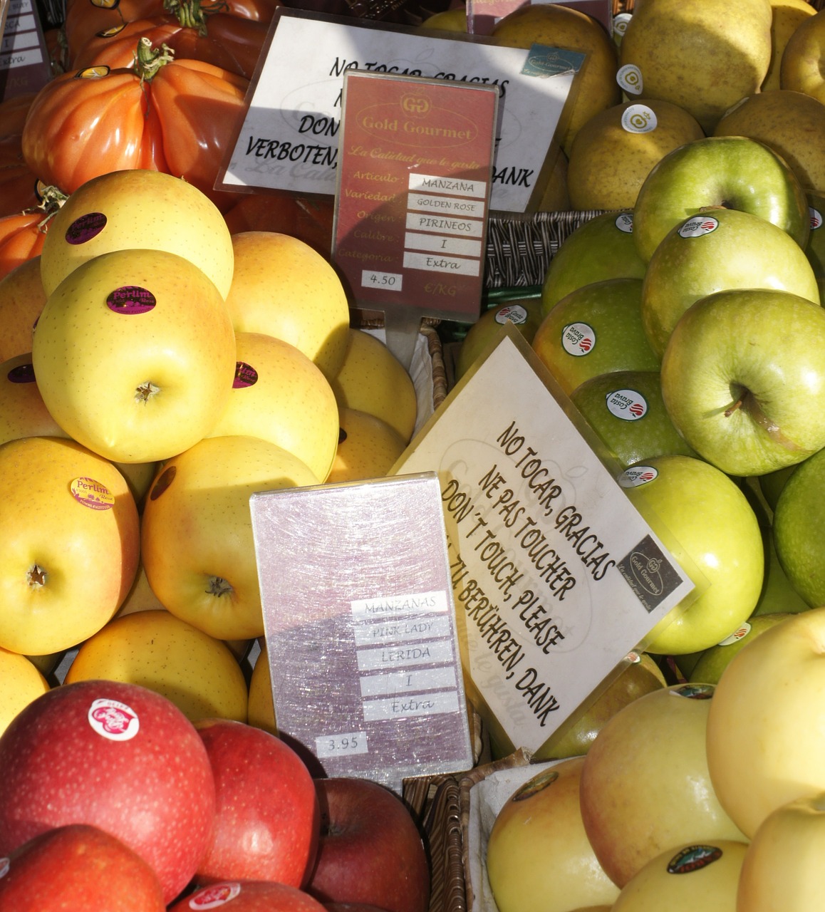 fruit shop apples free photo