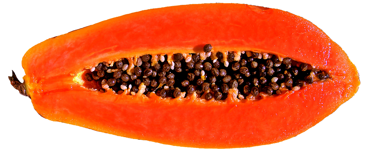 fruit papaya food free photo