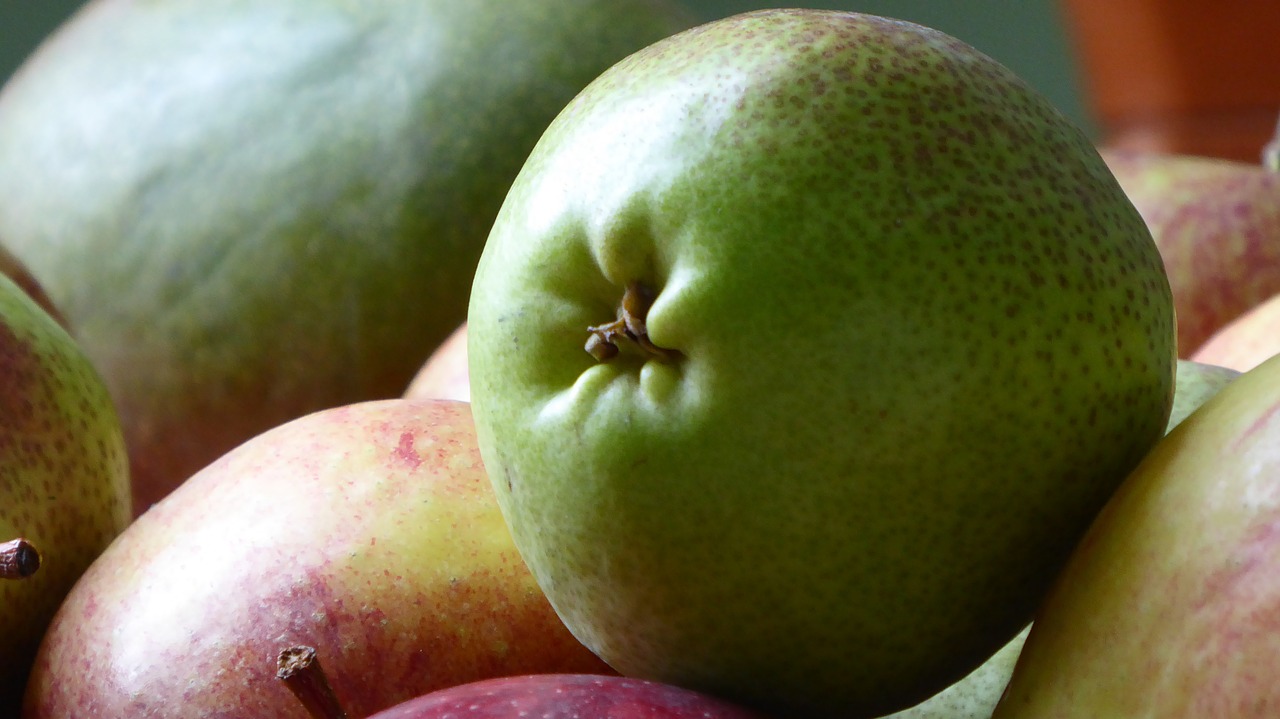 fruit healthy pears free photo