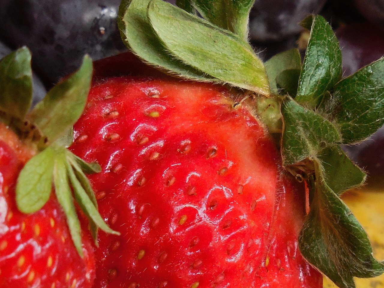 fruit strawberry seeds free photo