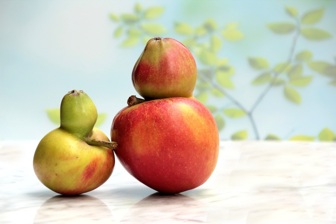 fruit apple gene defect free photo