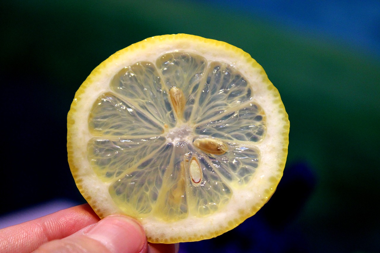 fruit food lemon free photo