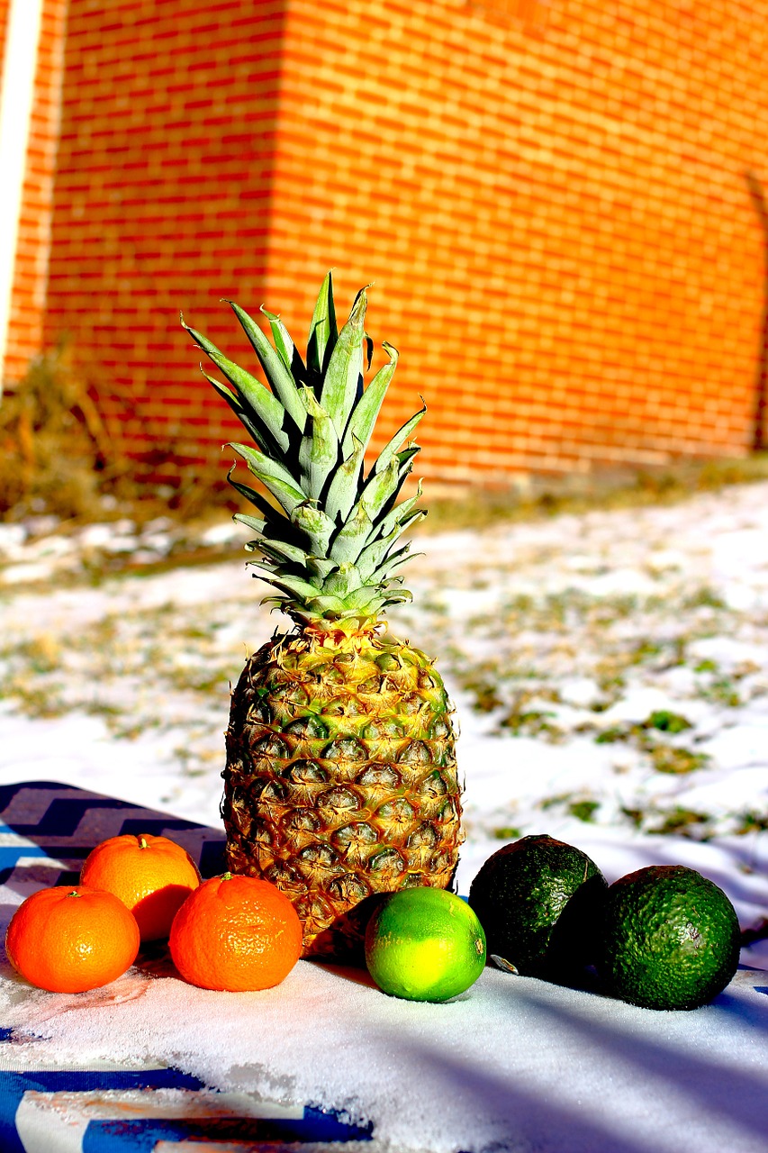fruit pineapple orange free photo
