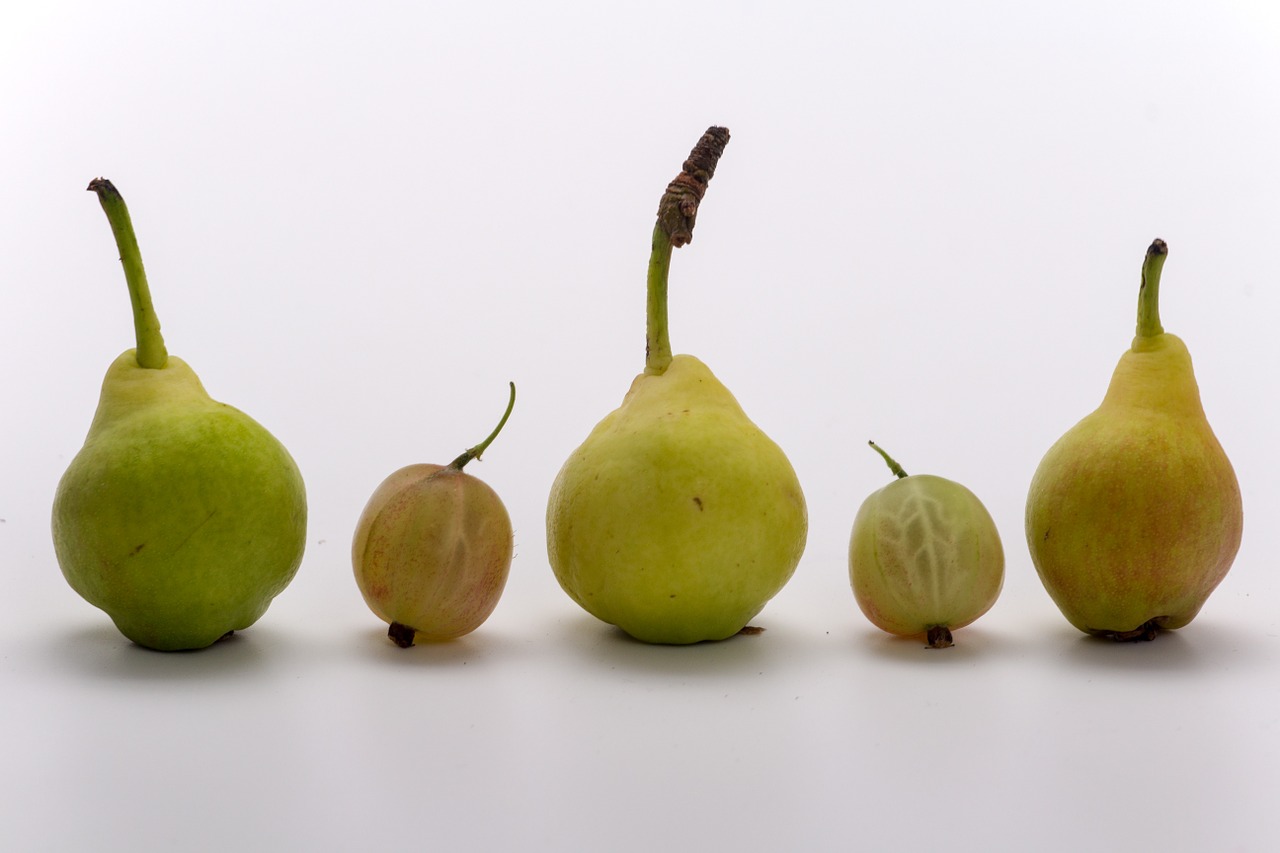 fruit pears macro free photo