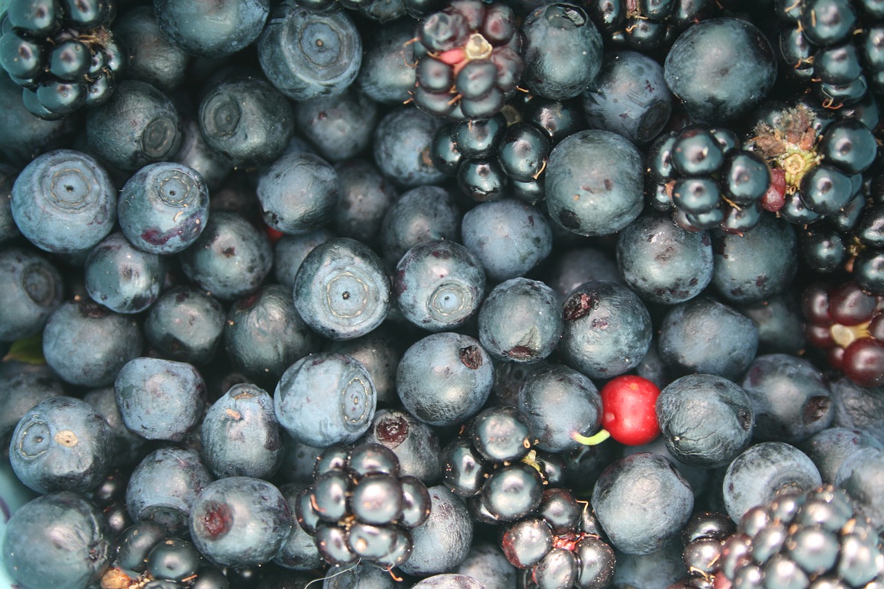 fruit berries jagoda free photo