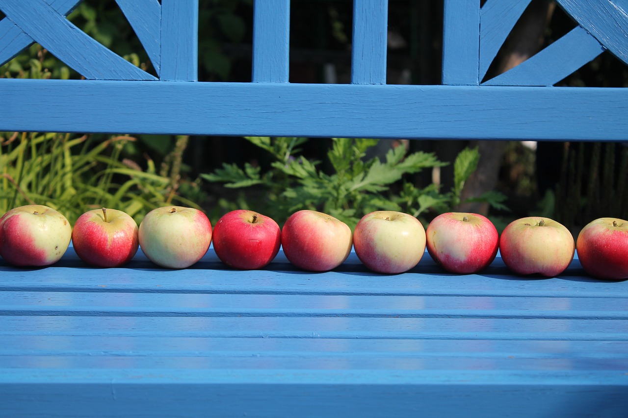 fruit apple frisch free photo