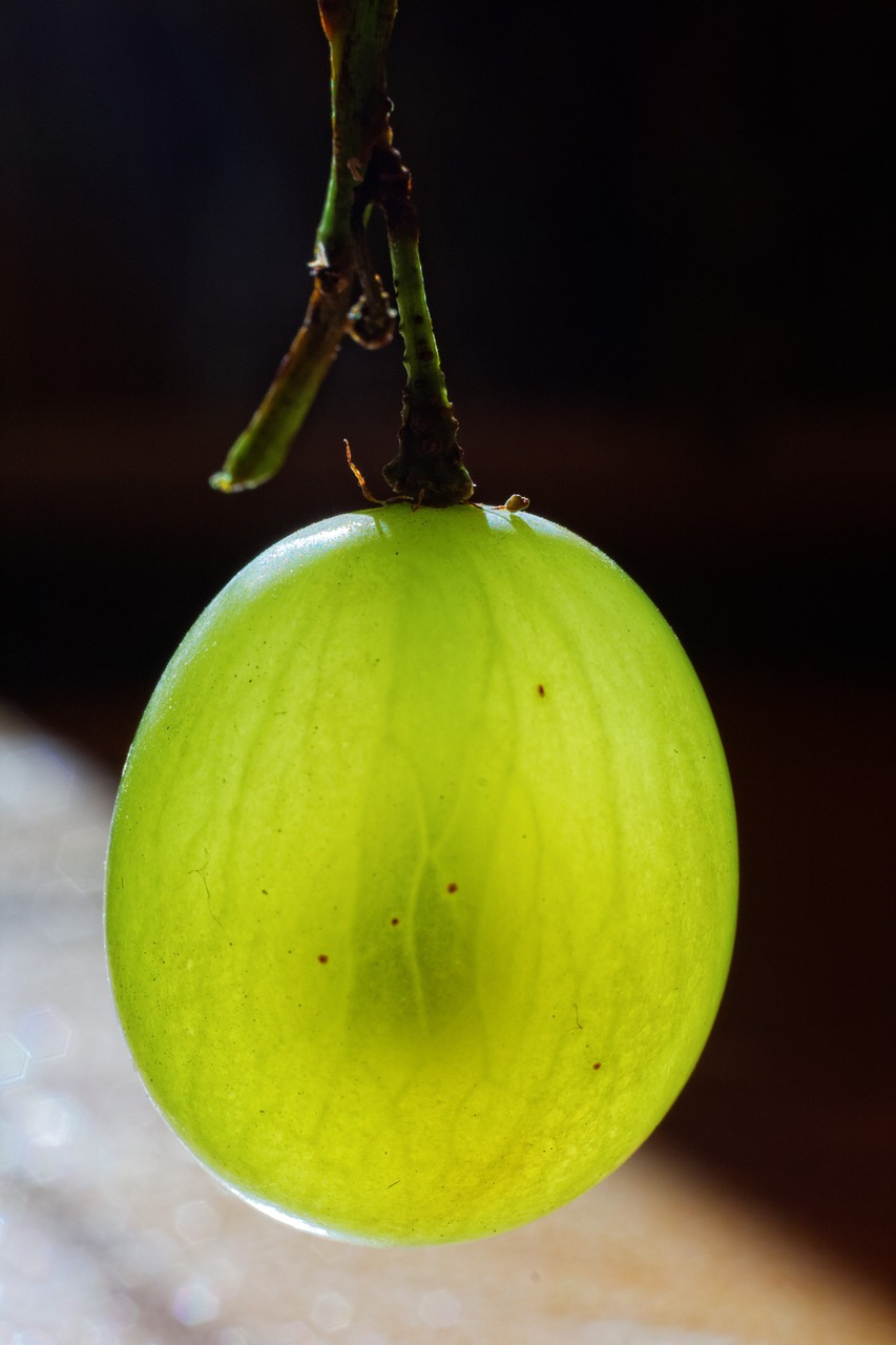 fruit gooseberry green free photo