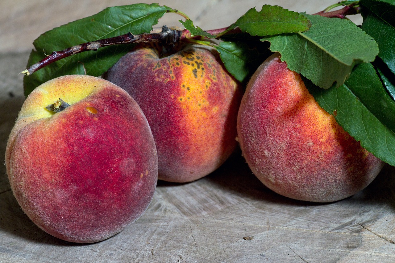 fruit peaches branch free photo