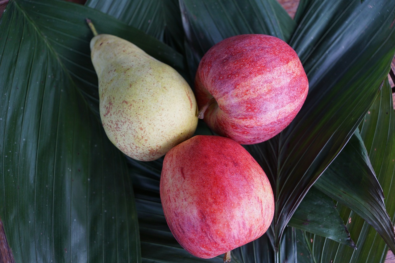 fruit apple pear free photo