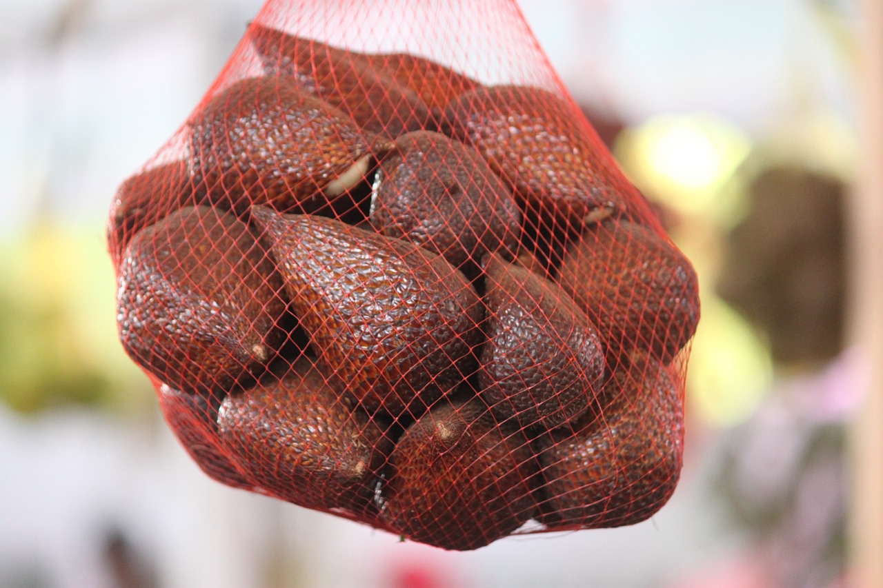 fruit salak brown free photo