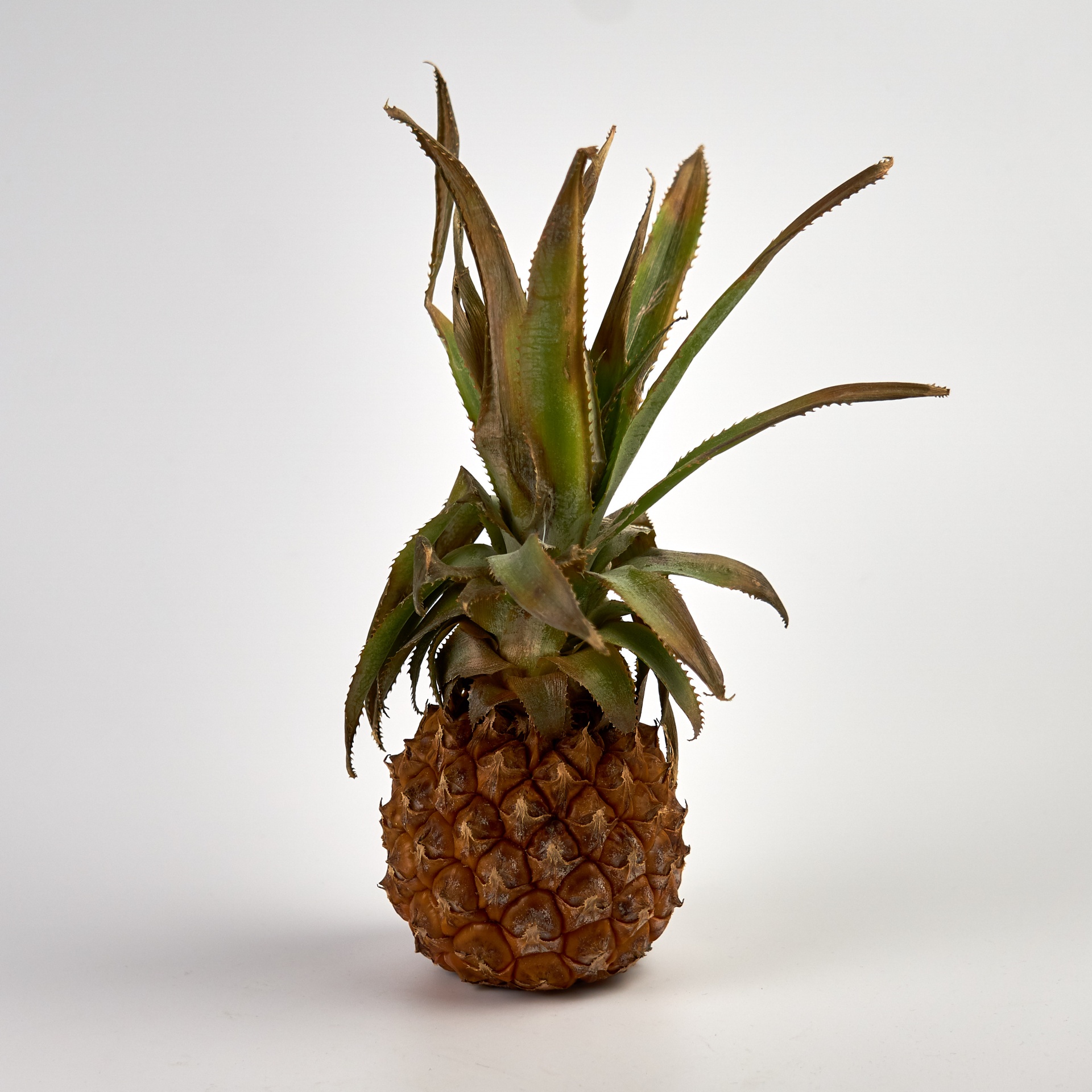 pineapple fruit flavor free photo