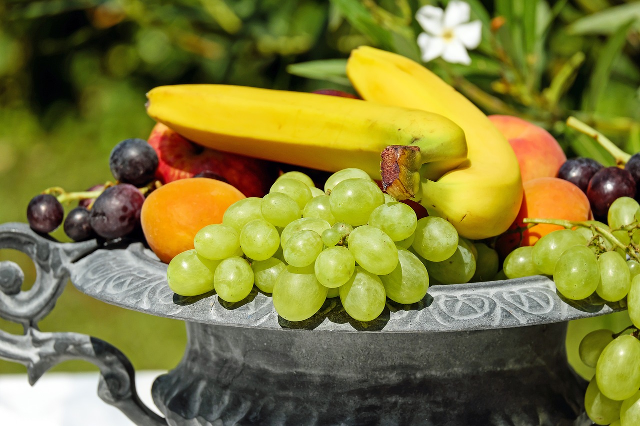 fruit bowl shell fruit free photo