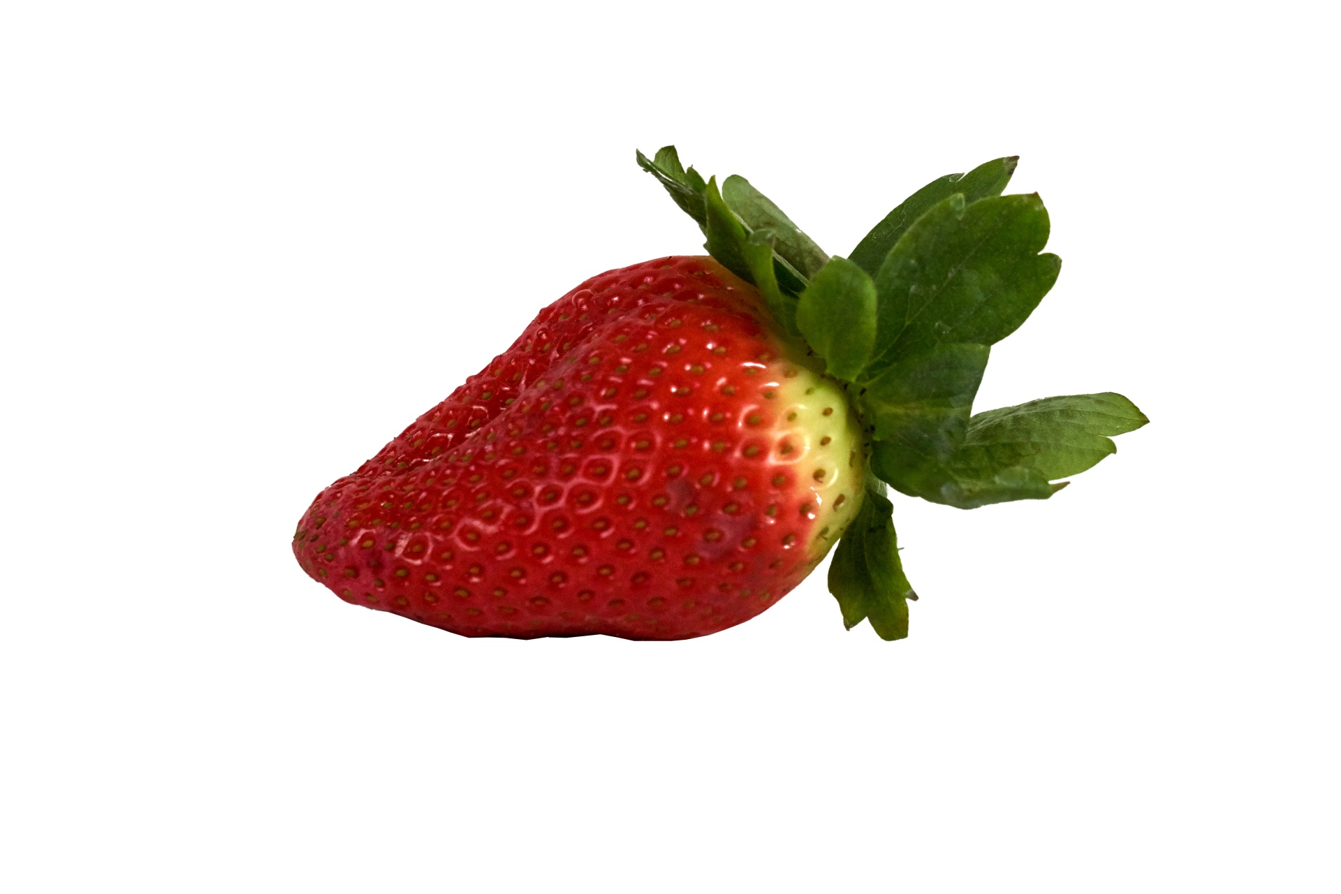 fruit strawberry season free photo