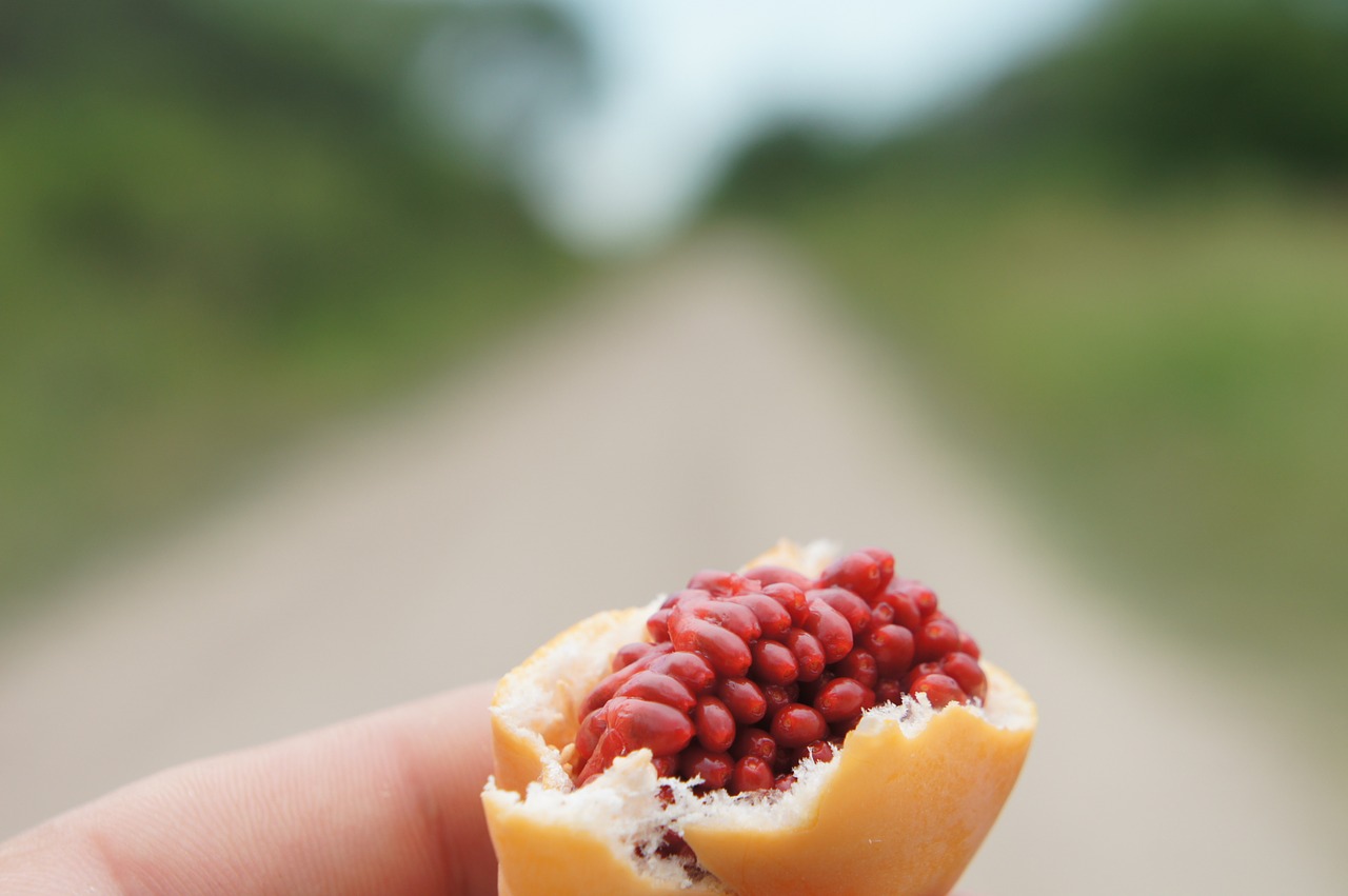 fruit of passiflora fruit passiflora free photo