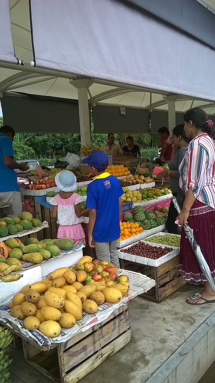 fruit stall tropical fruits market free photo