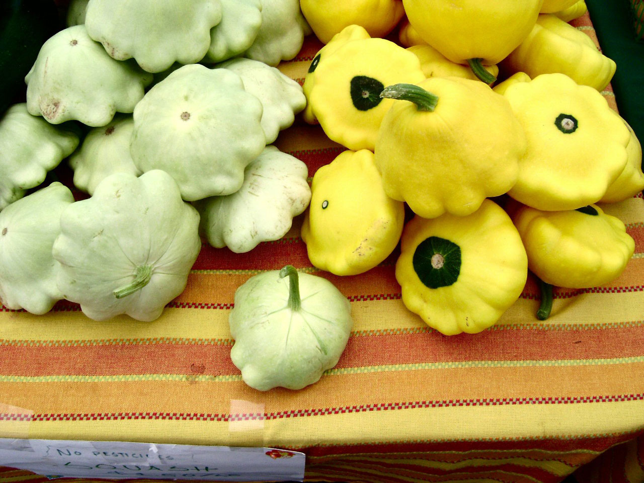 squash fruit still life free pictures free photo