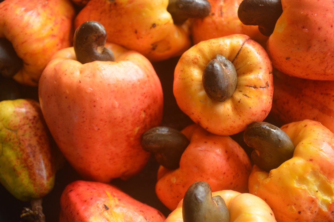 fruits cashew apple food free photo