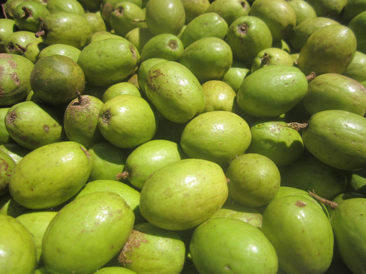 fruits green healthy free photo