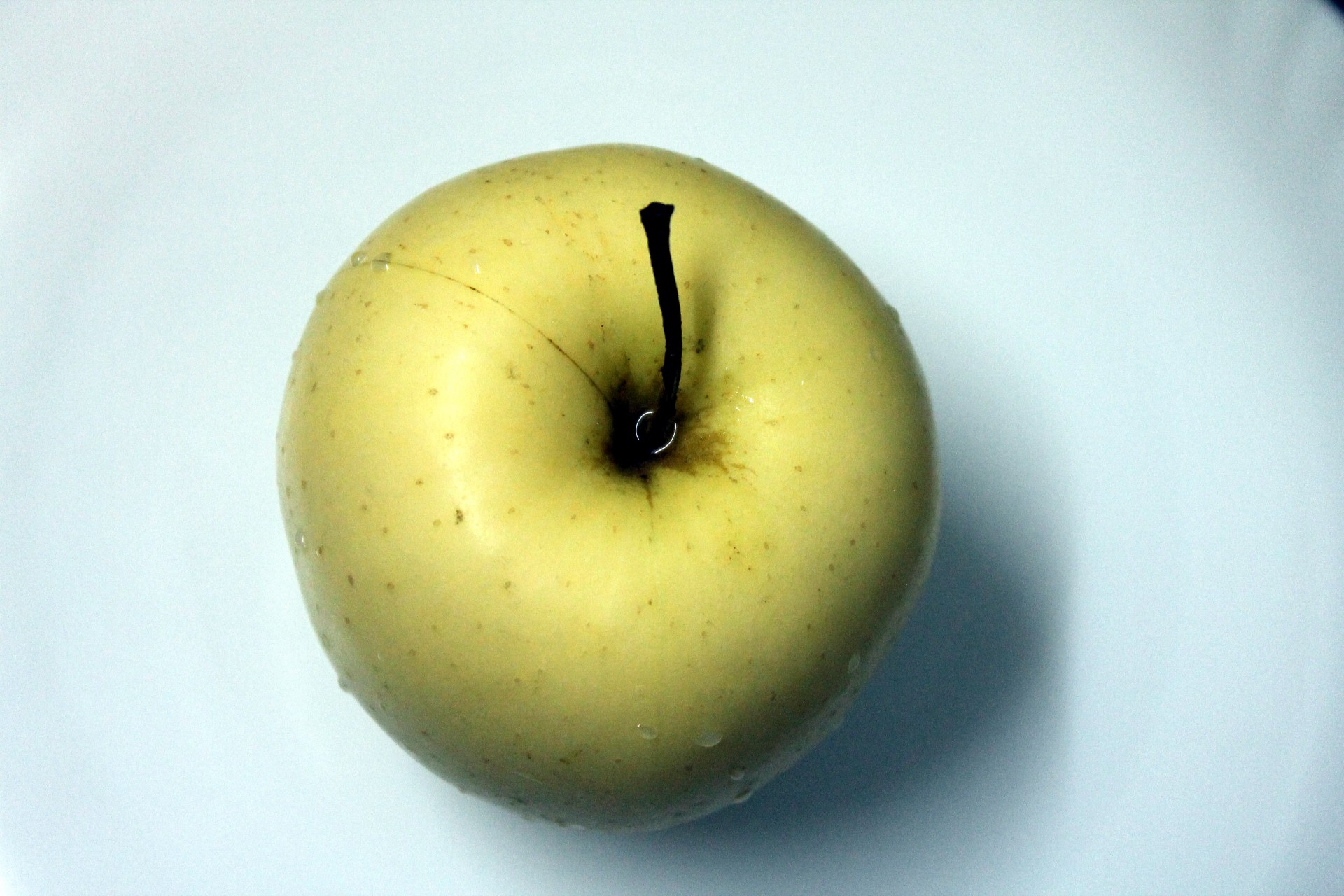 fruit apple photo free photo