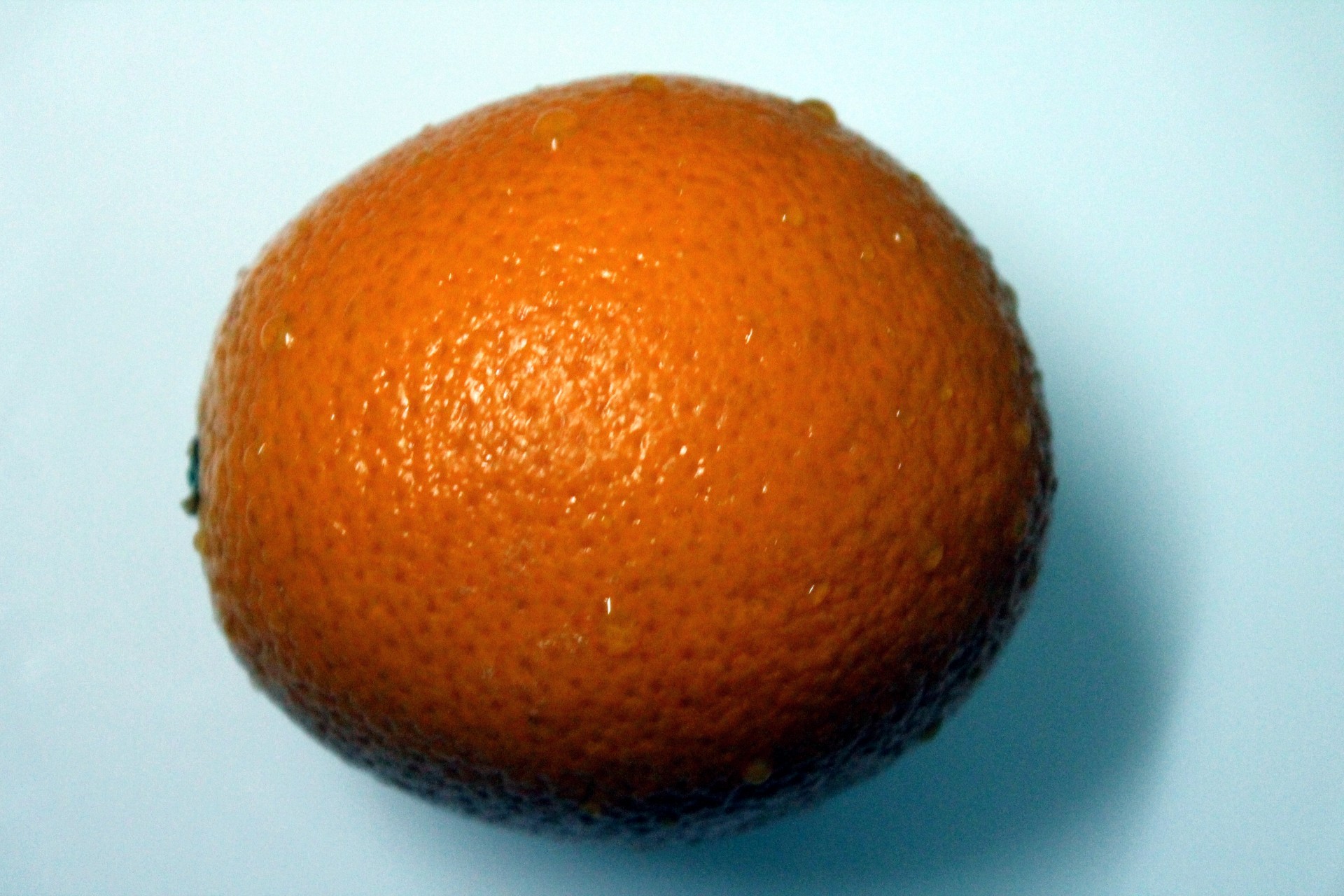 fruit orange photo free photo