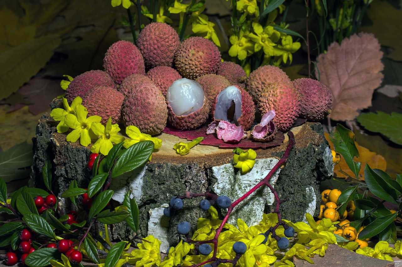 fruits lychee berries free photo