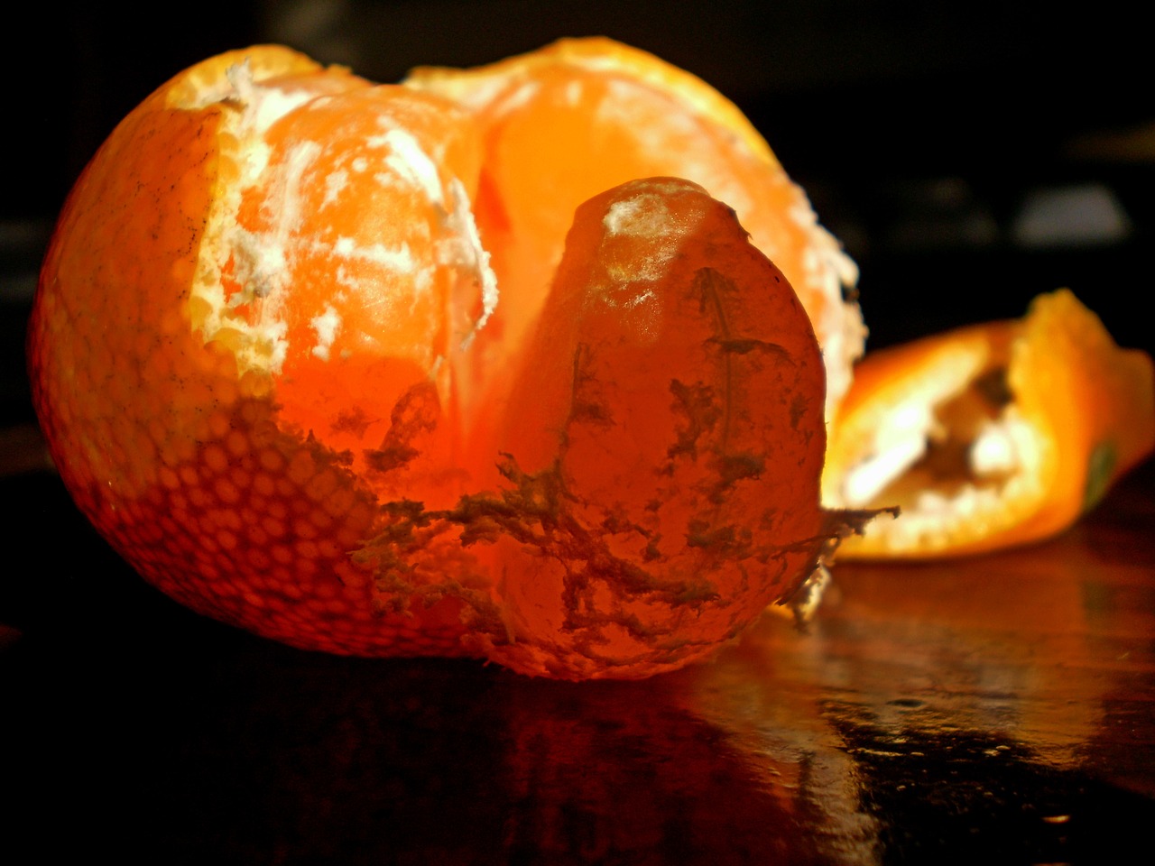 fruits nature orange free photo