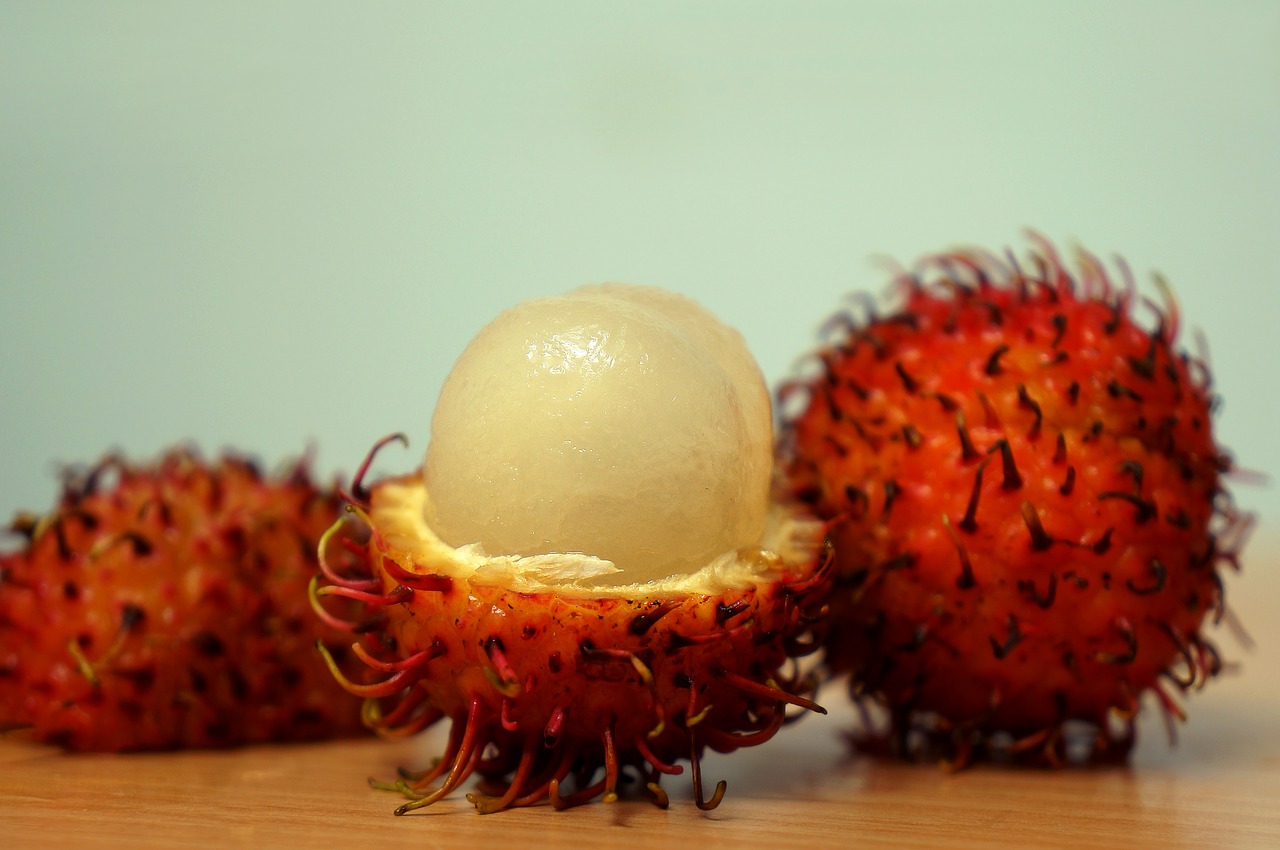 fruits rambutan food free photo