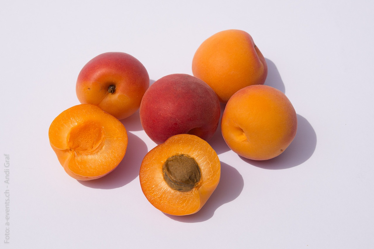 fruits apricots fruit free photo
