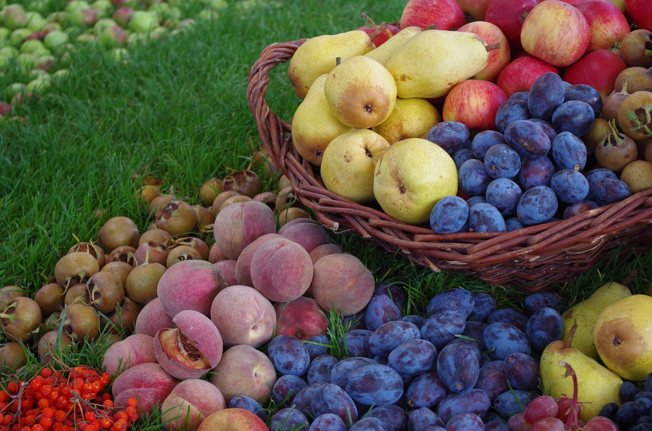 fruits  fruit  fruit basket free photo