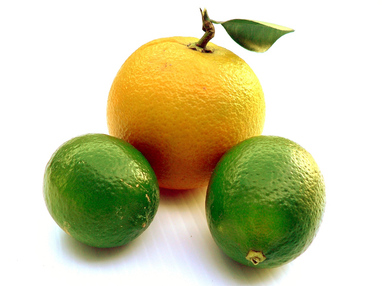 fruits citrus orange free photo