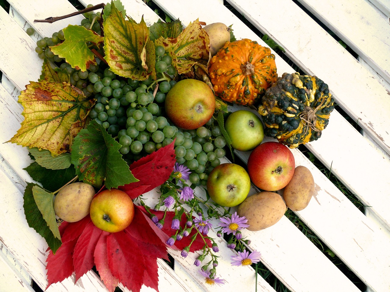 fruits harvest autumn free photo