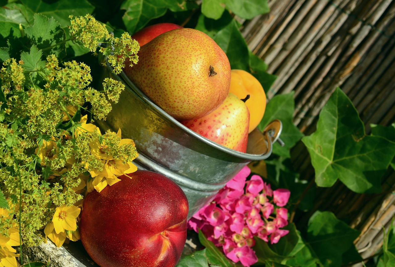 fruits garden fruit free photo