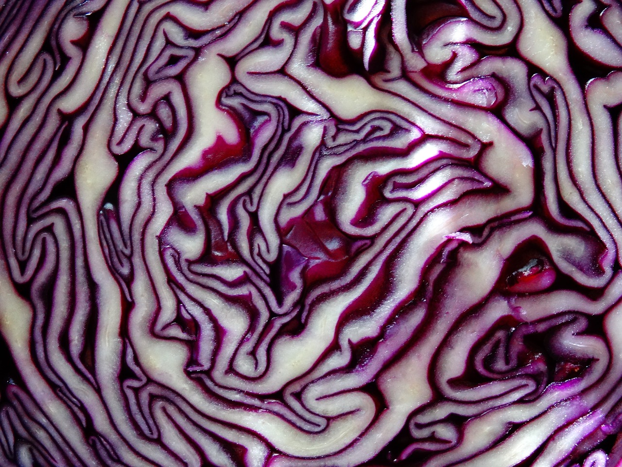 fruits and vegetables cabbage crauto free photo