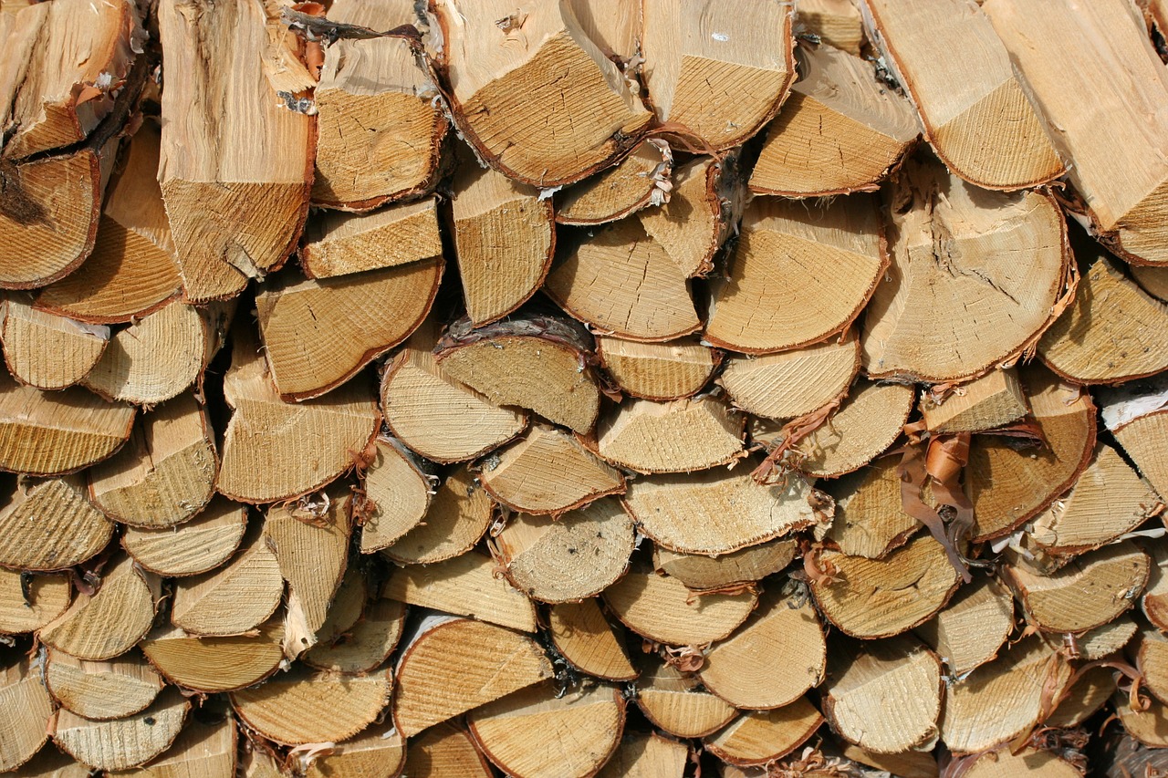 fuel wood pile free photo