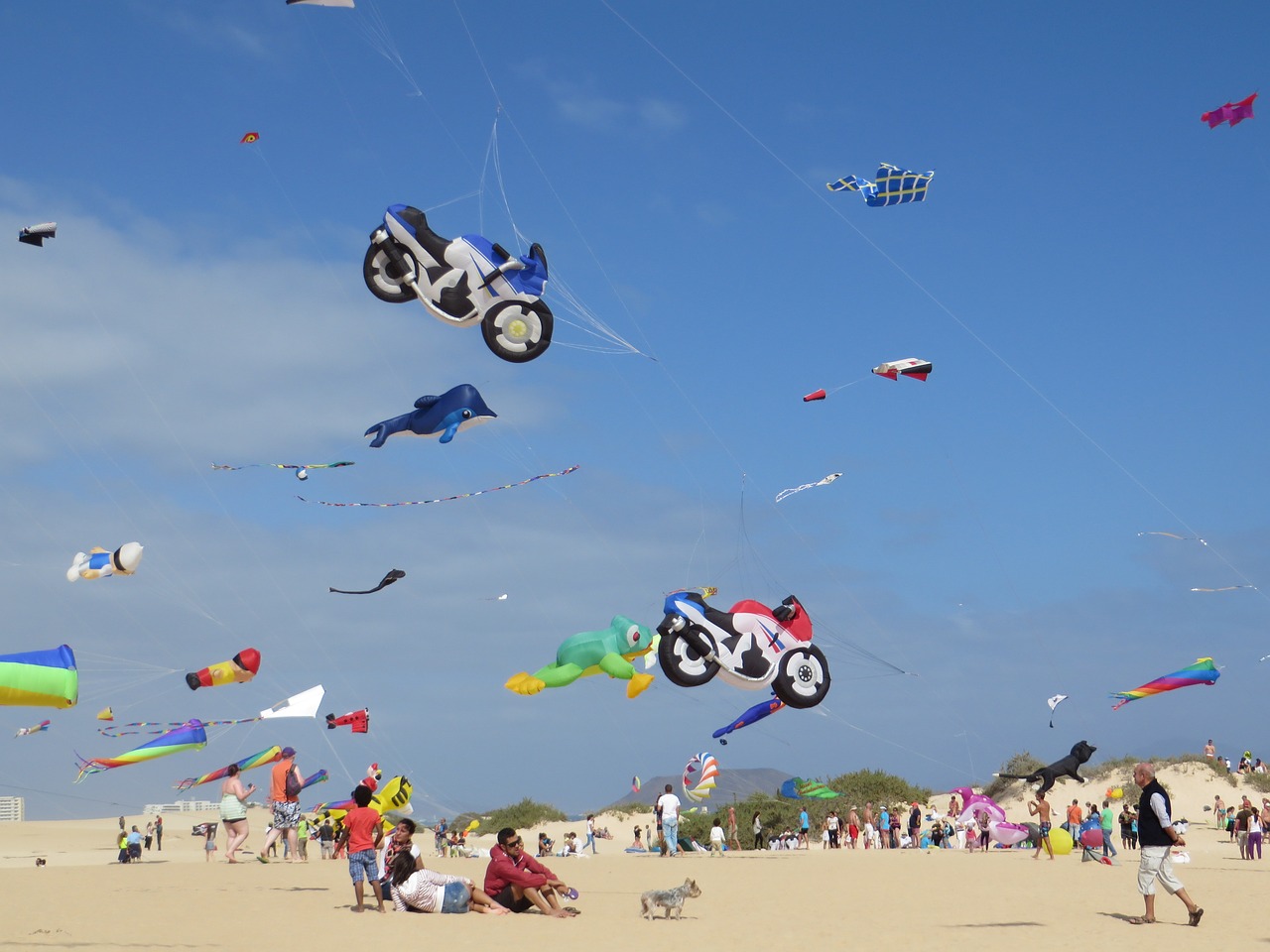fuerteventura beach kite festival free photo