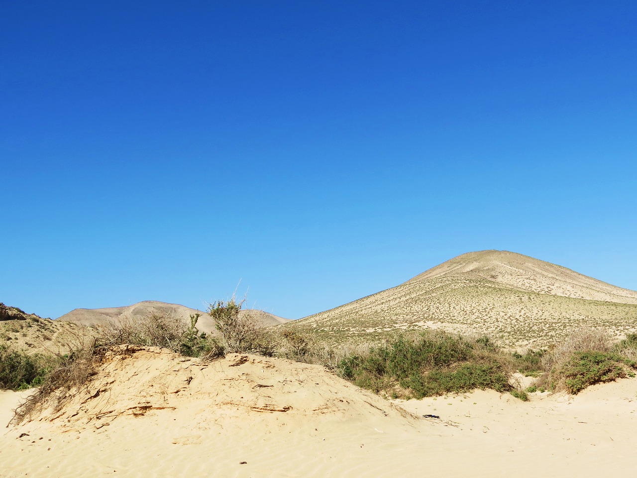 fuerteventura beach canary islands free photo