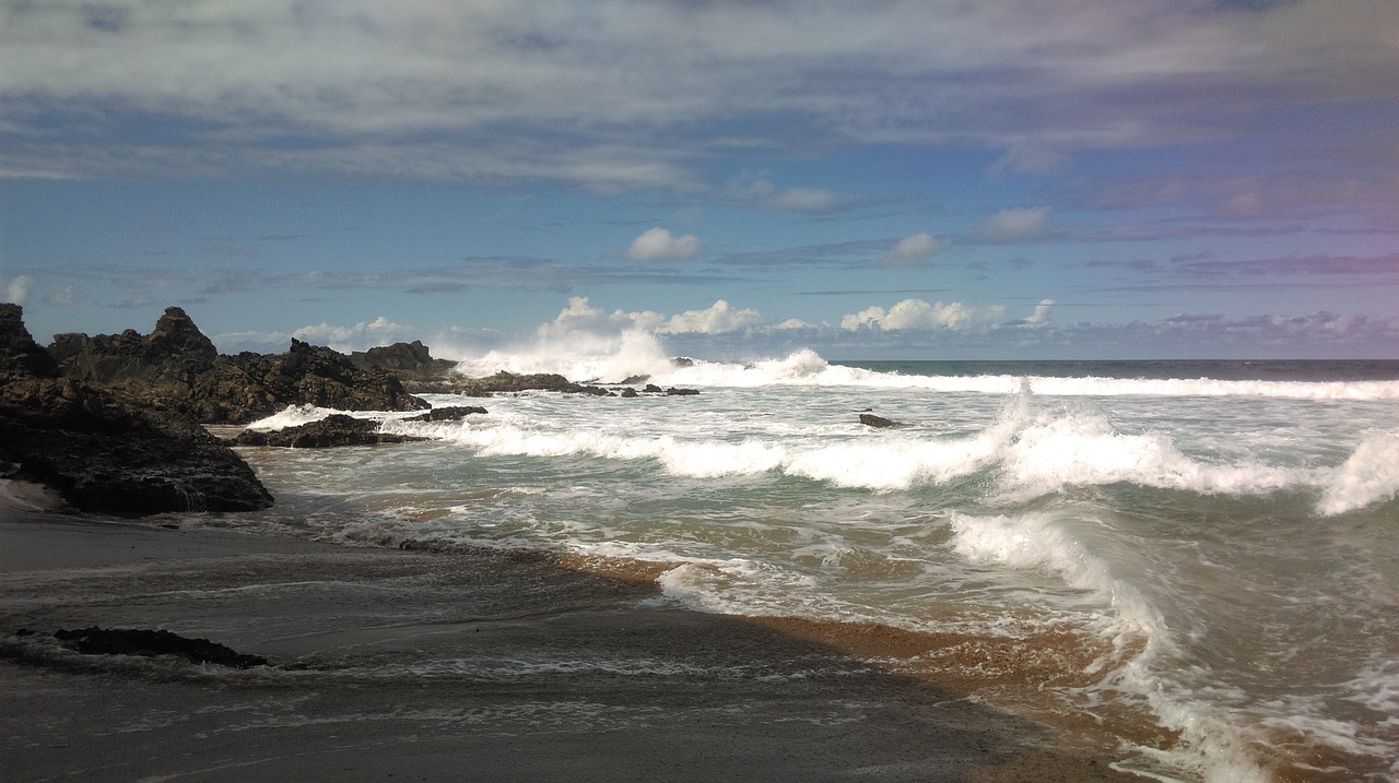 fuerteventura canary islands beach free photo