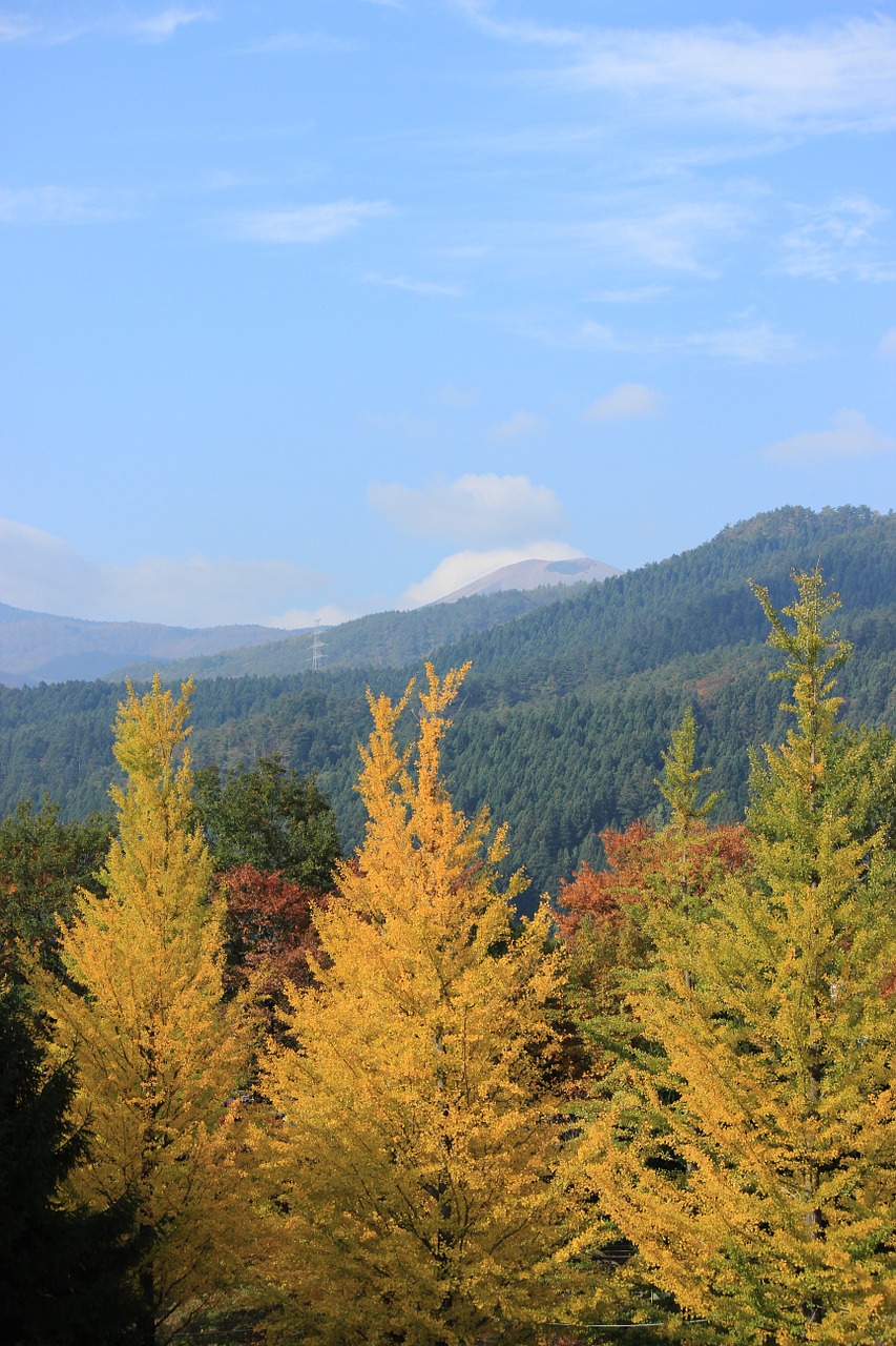 fukushima azuma sports park azumayama free photo