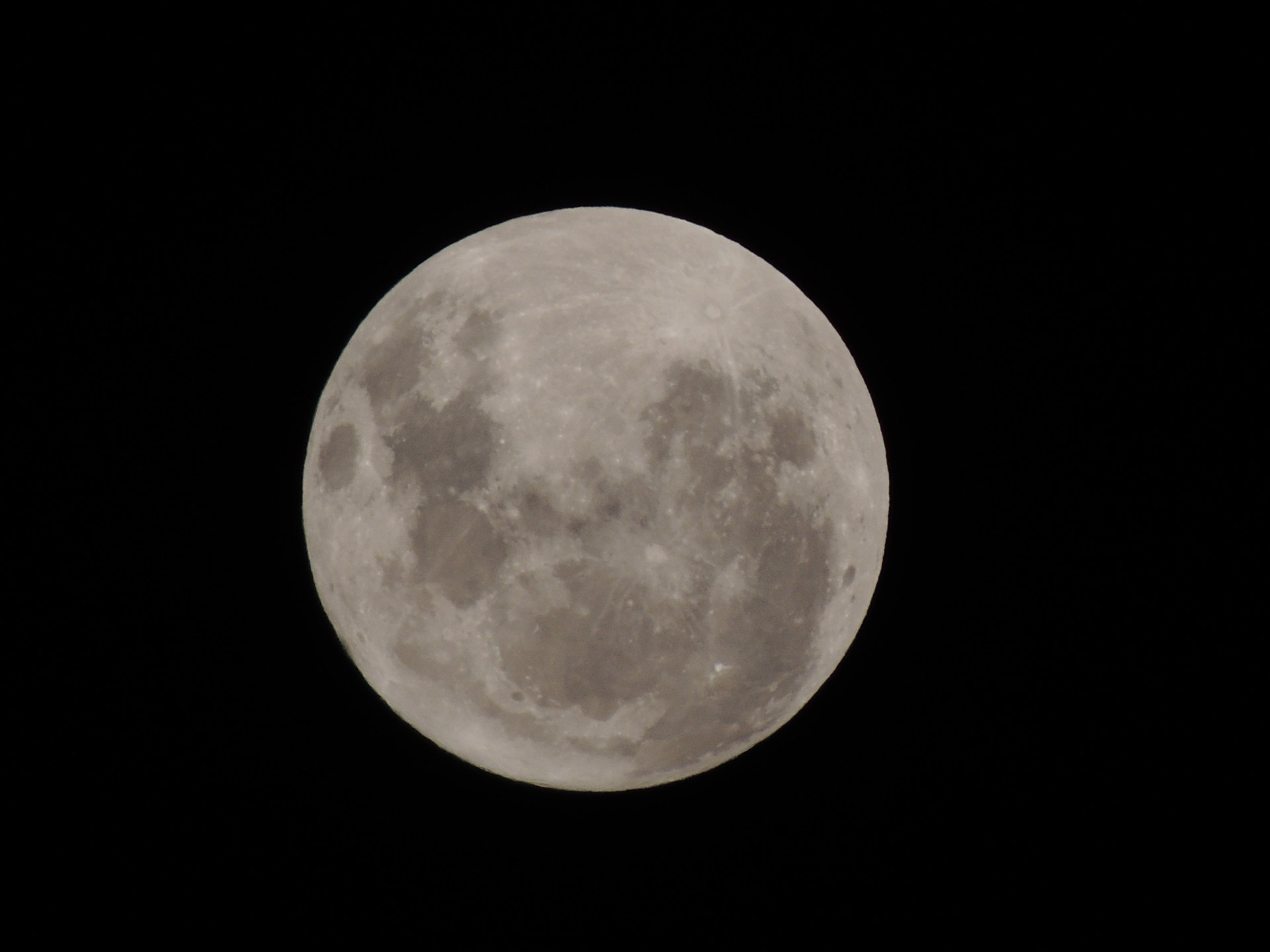 moon full night free photo