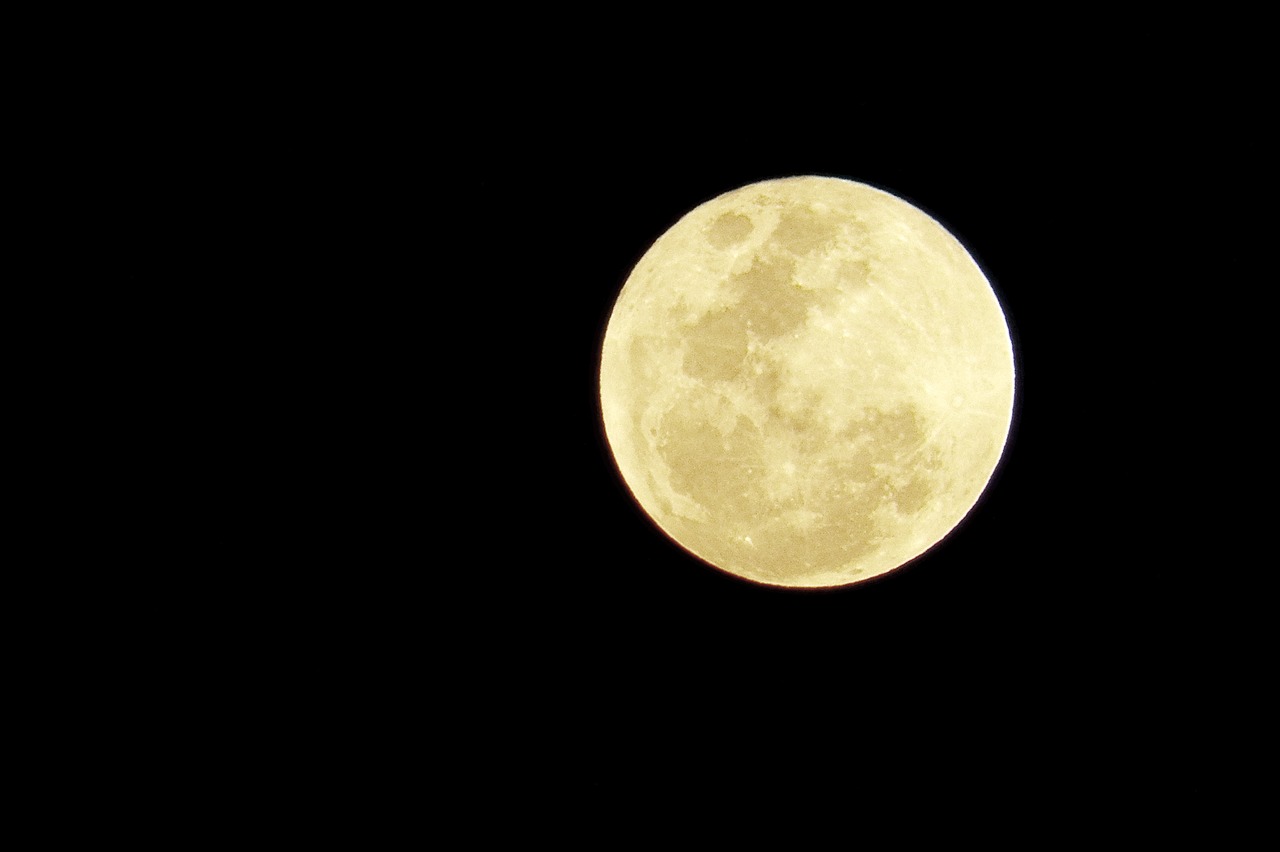 full moon night moon by night free photo