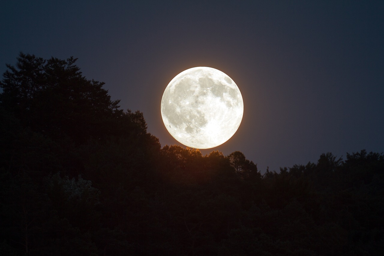 full moon evening sky moonlight free photo