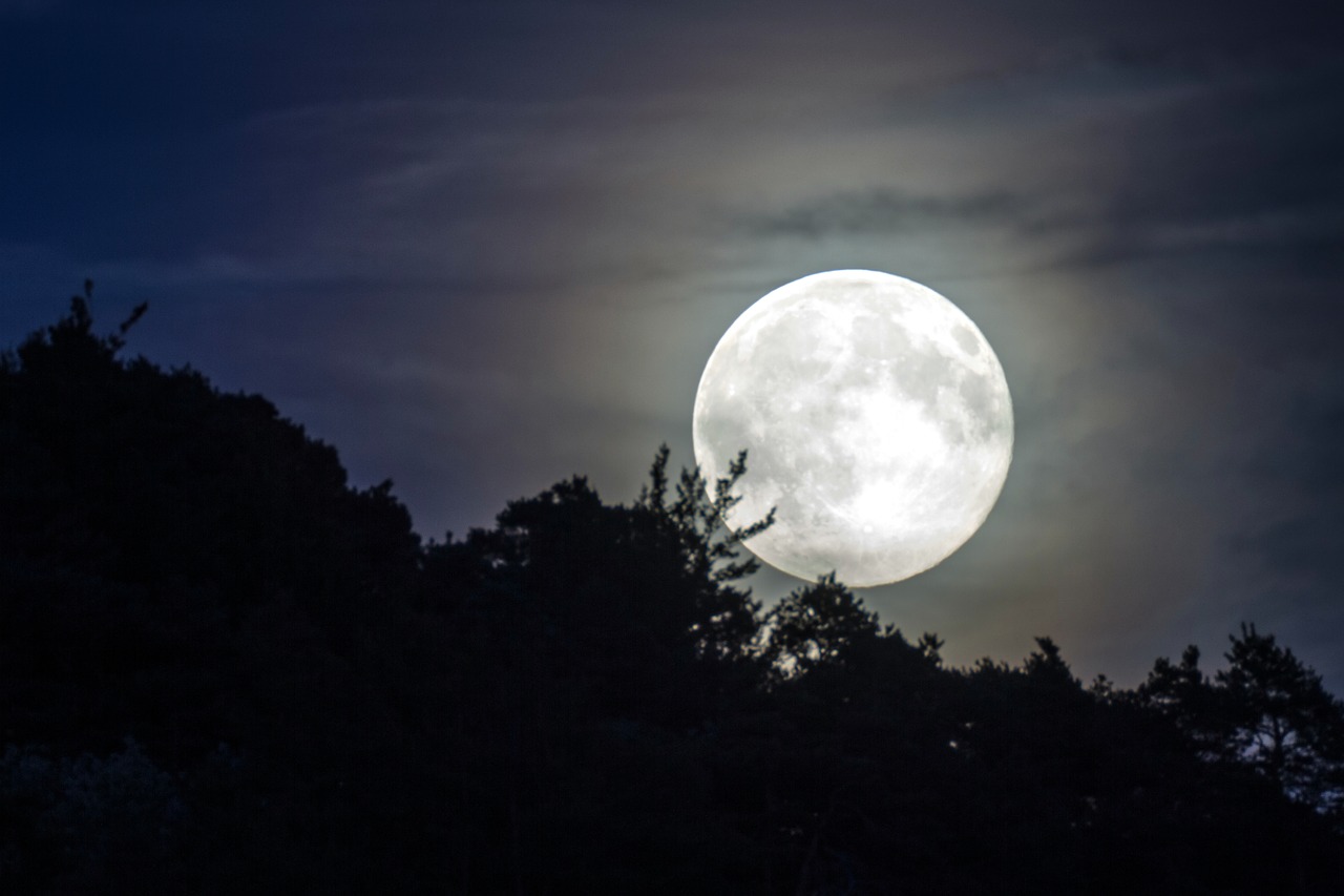 full moon evening sky moonlight free photo