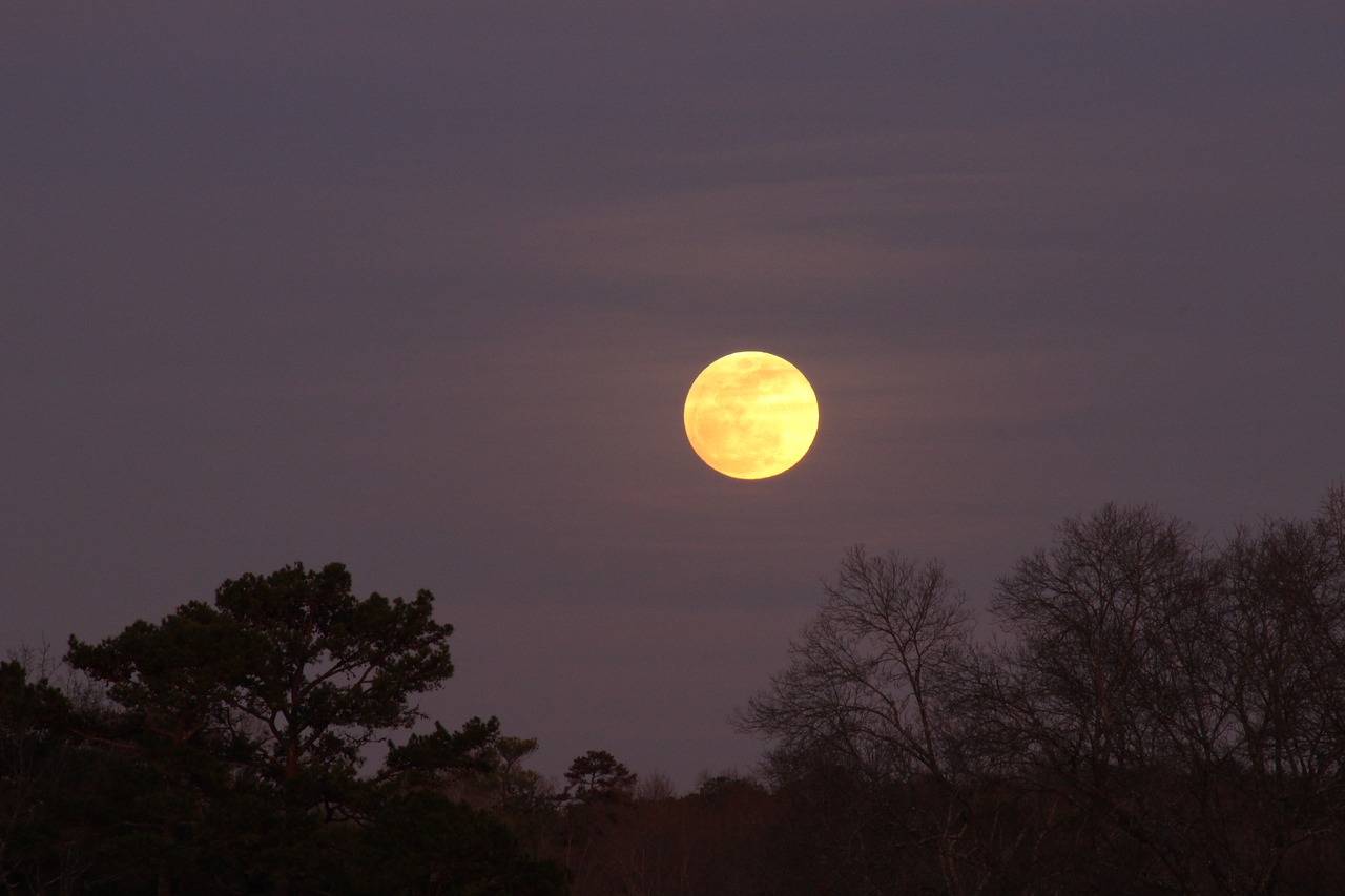 full moon moonrise sky free photo